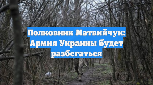 Полковник Матвийчук заявил, что украинская армия будет разбегаться