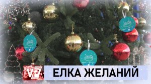 «ЕЛКА ЖЕЛАНИЙ»: У ВОЛГОГРАДЦЕВ ЕСТЬ ВОЗМОЖНОСТЬ ИСПОЛНИТЬ МЕЧТУ