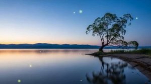 Дочь_Олигарха_Бросила_У_АЛТАРЯ34