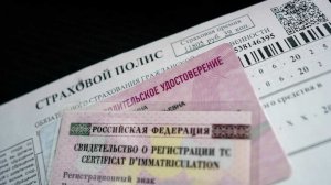 Автоматическое продление водительских прав отменят в РФ с 1 января