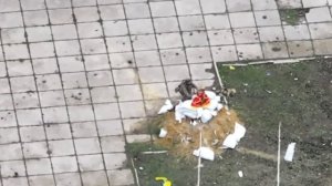 Наши в центре Гуляйполе!