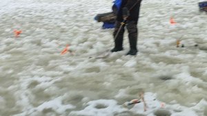 Форель на пасту. Основной водоём.