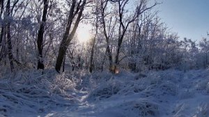 На исходе томительной ночи стихи - Виктор Михнев, музыка - Елена Есфирь