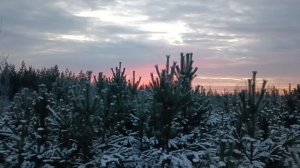 Карелия ☀️