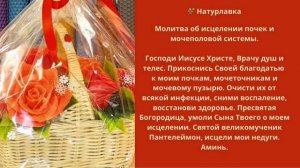 Молитва об исцелении почек и мочеполовой системы.