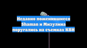 Недавно поженившиеся Shaman и Мизулина поругались на съемках КВН