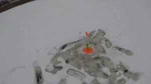 Первый лёд! (2)