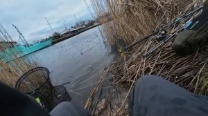 О рыбалке и законодательстве.