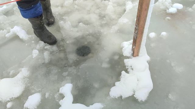 video5368550489677923918 смотреть онлайн