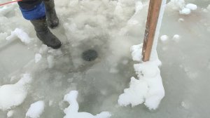 video5368550489677923918