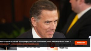 Сын Байдена назвал Украину змеиным логовом