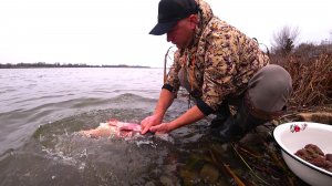 ПОЙМАЛ И СРАЗУ В ПЕЧЬ! РЫБА НА ПРАЗДНИЧНЫЙ СТОЛ - КОКТАЛ! В ДУХОВКЕ С ОВОЩАМИ - ПАЛЬЧИКИ ОБЛИЖЕШЬ!
