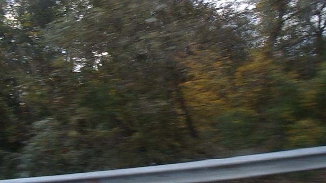 DSCN4807ГУАМСКОЕ УЩЕЛЬЕ ОСЕНЬ 2021 ГОД