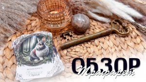 Обзор на колоду "Трафарет"