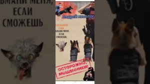 Комики продлеватели.