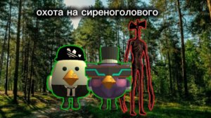 работа в scp (1)(серенаголовый)