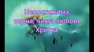 Божья любовь... ♥️🙏 христианская песня