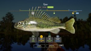 Русская Рыбалка 4-Новогодние Задания 2026: Ерш массой не менее 80 грамм оз. Комариное