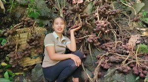 Сбор натуральных фруктов и продажа их на рынке. Дизайн клетки для кроликов. Дуонг