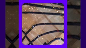 1000043677.mp4 (Собака смотрит на итоги монтажа электропроводки в доме А-фрейм)