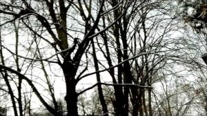 Наш декабрь(Дударин и Анна)