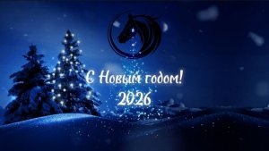 Шеянова Любовь-Новый год 2026год.