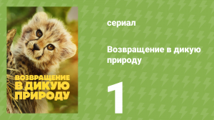 Возвращение в дикую природу 1 сезон 1 серия (документальный сериал, 2025)
