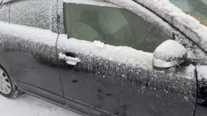 Новый привоз из Японии и Китая