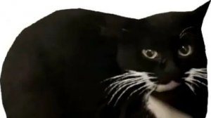 возращение