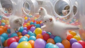 МУЛЬТИК ДЕТЯМ | МАЛЫШАМ | ДЕТЯМ