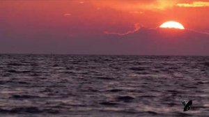 Как упоительны в России вечера - Татьяна Куртукова, Слава. Песни 2025