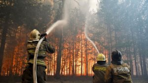 Куренков: МЧС не планирует усиливать ответственность за природные пожары