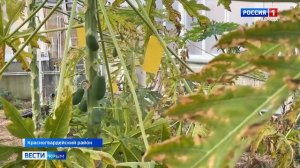 ВЕСТИ КРЫМ: выпуск 27.12.2025 8:00