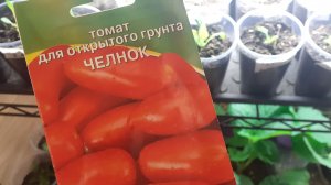 27.12.2025 Пара покупок + обзор  имеющейся рассады.