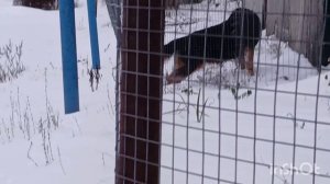 Джеси на проминаде