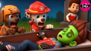 Щенячий патруль и Маршалл. Залипательное видео. Мультфильм для детей и малышей. Анимация 17