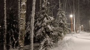 ЗИМНИЙ ЭТЮД