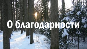 Почему надо благодарить Бога за все?