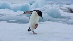 ИИ АНИМАЦИЯ