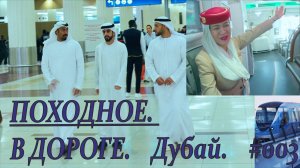 ОАЭ. Дубай. Походное №3