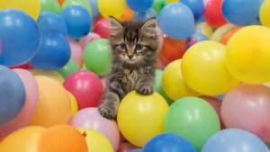 ЗАЛИПАЛКА | АСМР