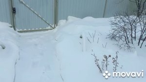 27 декабря домашнее видео