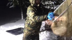 привоз новой партии форели на водоём