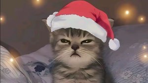 Есть новогодний вайб!?