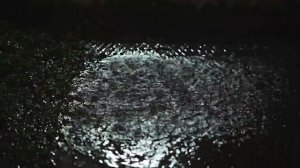 Расслабляющий звук дождя и ветра в лесу 3 часа _ Капли дождя падают с деревьев под порывами ветра