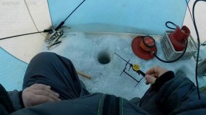 Палатка чай елец.Зимний рыболовный рай.