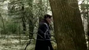 (Песня о далекой Родине из к/ф "Семнадцать мгновений весны").