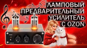 Китайский ламповый предусилитель Tube-03 с Ozon