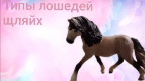 Типы лошедей щляйх и колекта