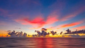 Barbara Furtuna - I Verani